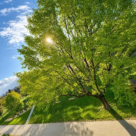 Nature View *