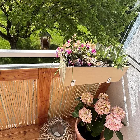 Nature View Апартаменты *