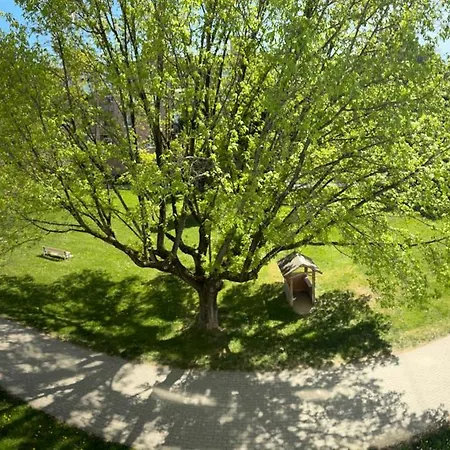 Апартаменты Nature View *